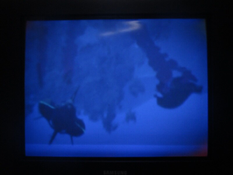 청의 6호 안타티카 엔딩_13.jpg