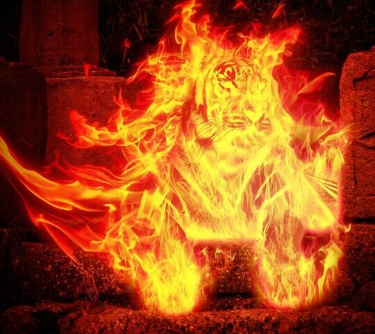 현재 야구 기아팬들 상황_2.jpg