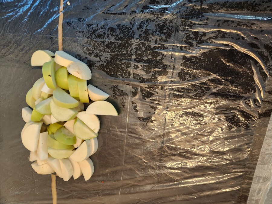 김장은 정말이지 고진 노력의 결정체..._5.jpg