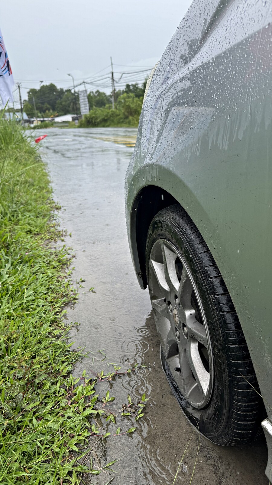 밖에서 밥 먹습니다 - 코타키나발루, REDFISH_4.jpg