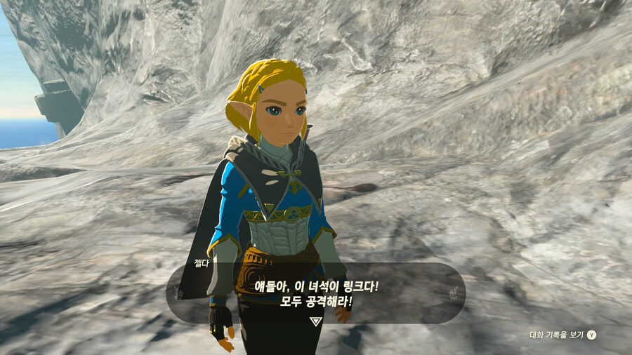 젤다) 파란옷 입은애가 링크 맞지??_1.jpg