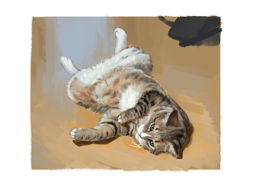 남의집 고양이 보고가이소_1.png