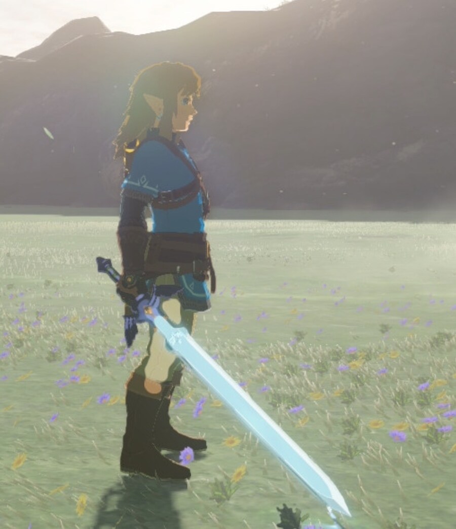 젤다) 원래 엔딩 전까지는 글리치 안쓰는데_5.jpg