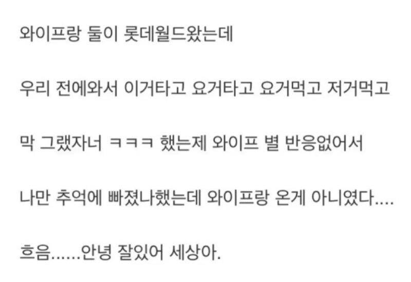 아내와 롯데월드 갔다가 실종된 남편.jpg_1.jpg