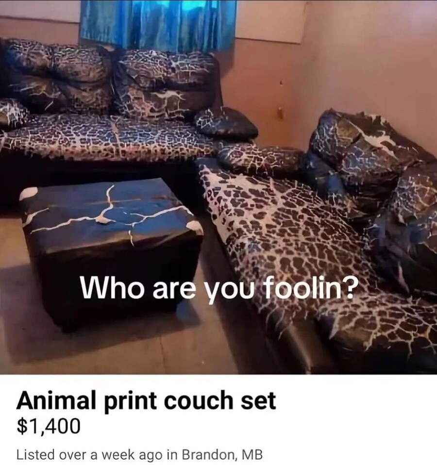 서양 중고나라에 올라온 동물무늬 소파 세트.jpg_1.jpg