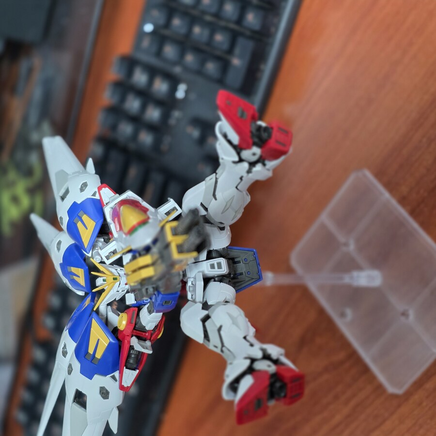 RG윙제로 포징좀 잡아봤습니다_23.jpg