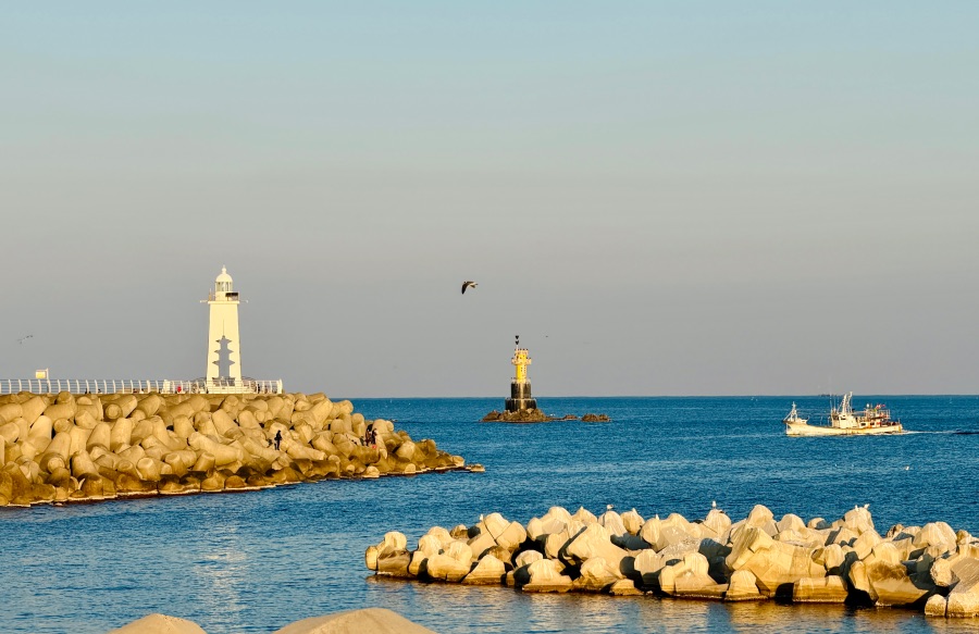 감포항과 수족관이 있는 카페_4.jpeg