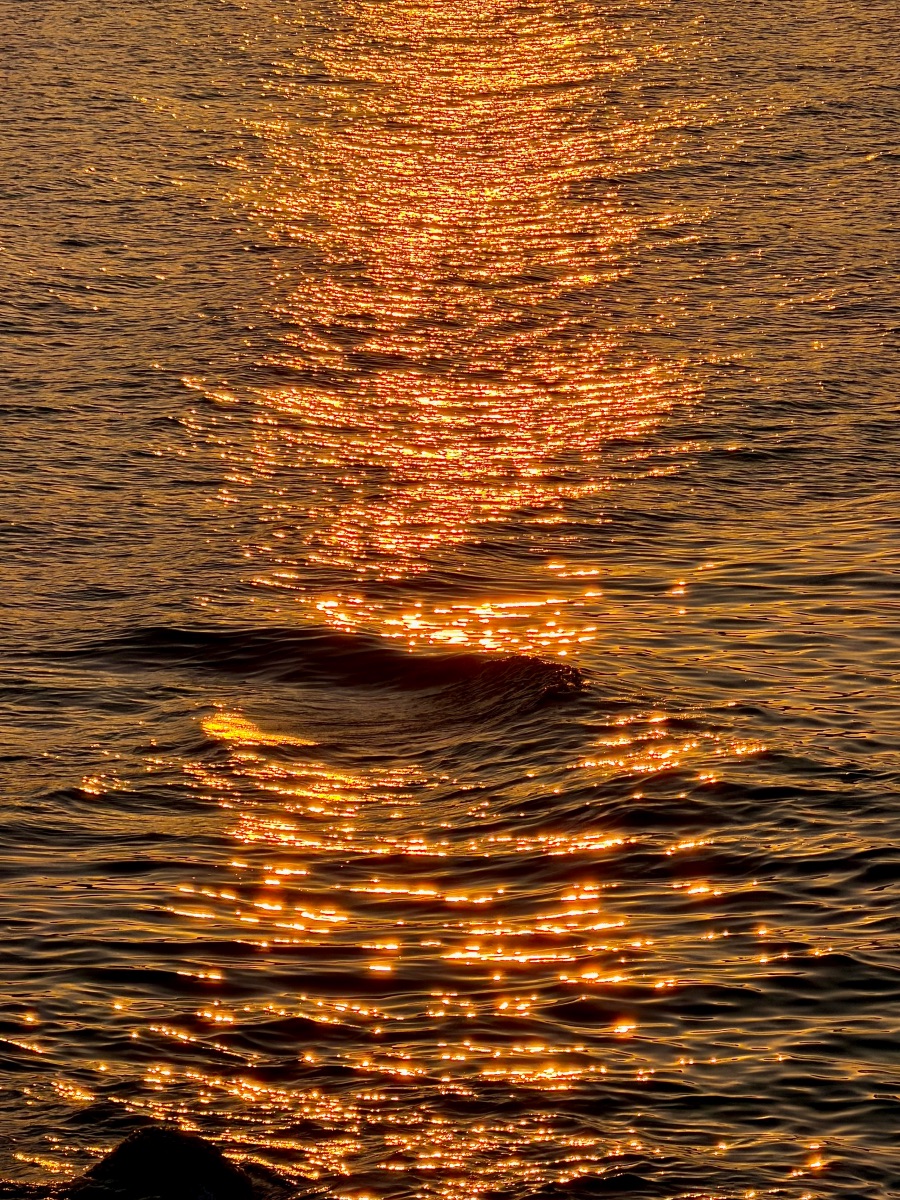 감포항과 수족관이 있는 카페_10.jpeg