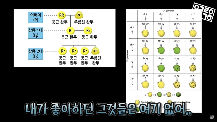 생명과학 교육의 문제_25.png