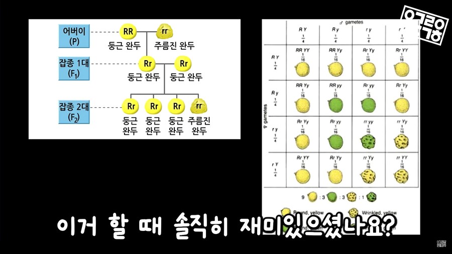 생명과학 교육의 문제_29.png