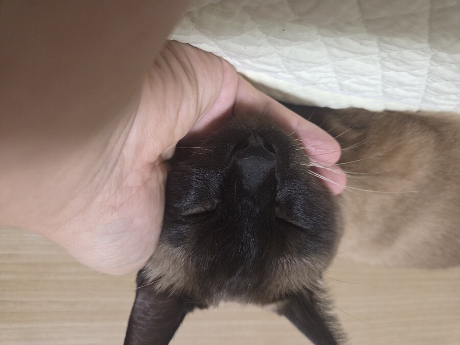 잘 생긴 것은 죄라고 하던데....진짜 죄 많은 놈이 내 옆에..._4.jpg