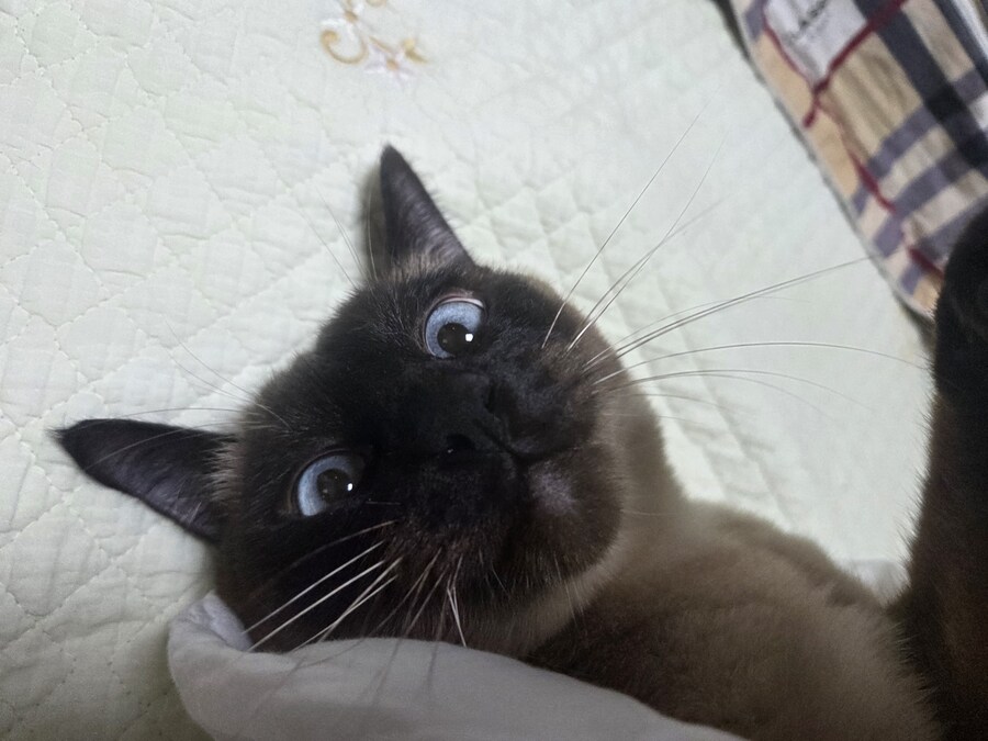 잘 생긴 것은 죄라고 하던데....진짜 죄 많은 놈이 내 옆에..._5.jpg