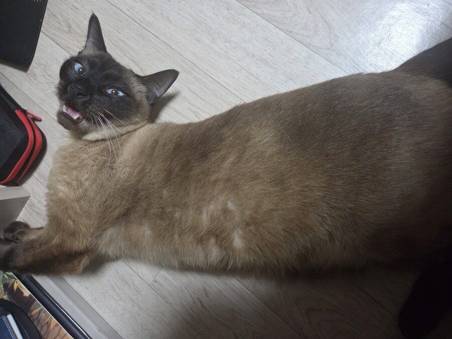 잘 생긴 것은 죄라고 하던데....진짜 죄 많은 놈이 내 옆에..._11.jpg