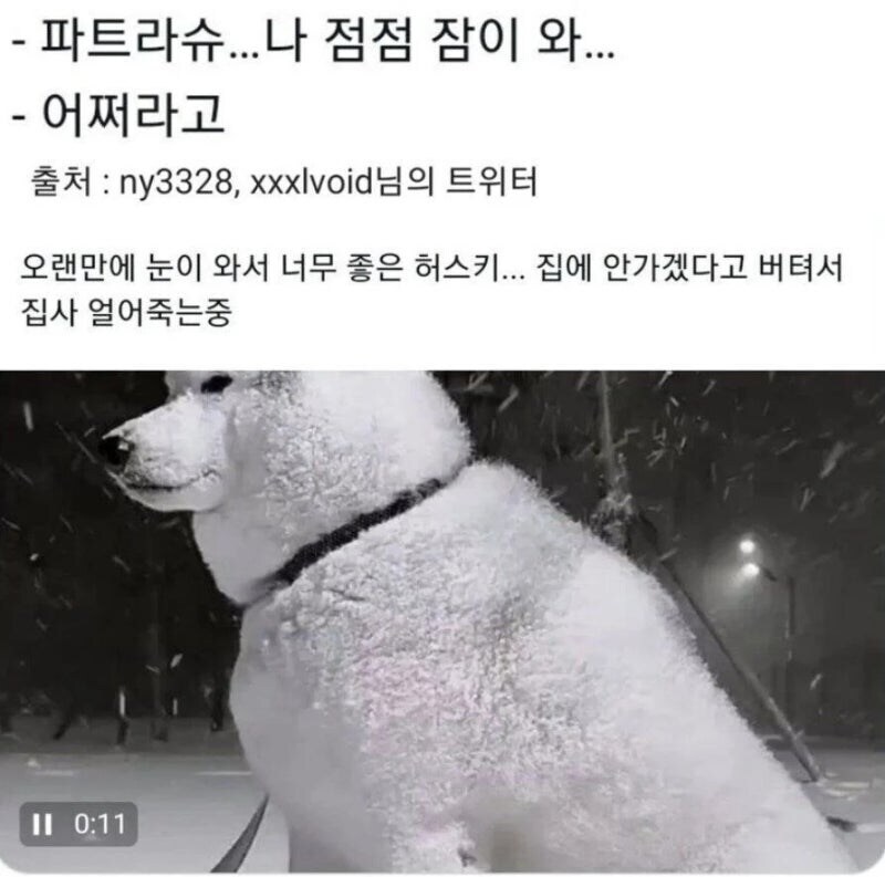 눈내리는 날 개를 밖에 뒀다고 동물학대로 신고당함_2.jpg