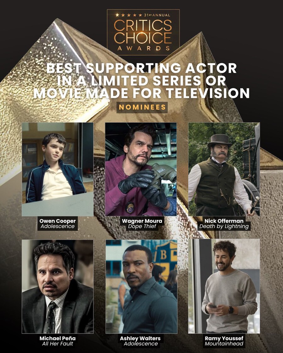 제 31회 크리틱스 초이스 어워즈 TV 부문 후보자(작) 발표 (스압)_15.jpg