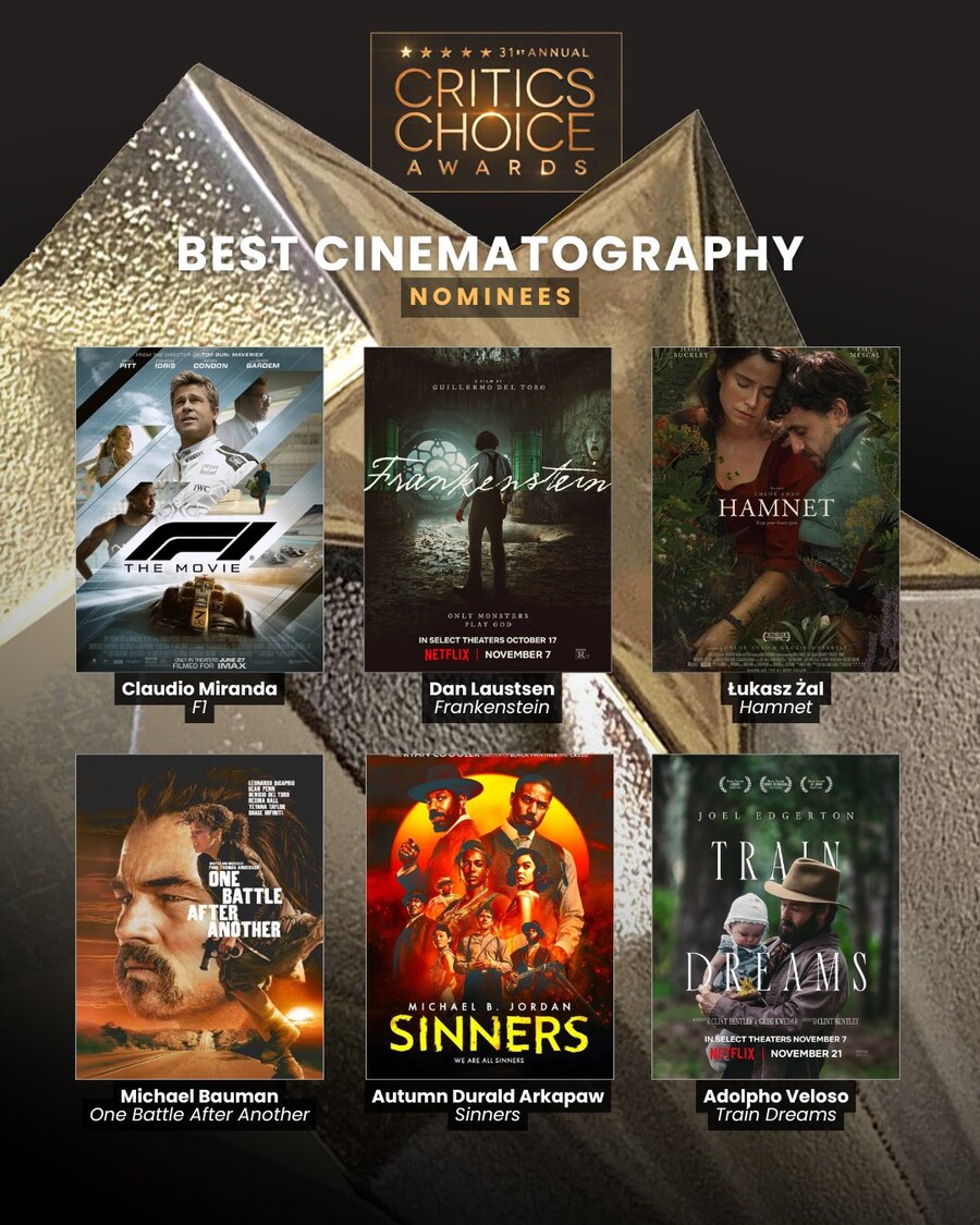 제 31회 크리틱스 초이스 어워즈 영화 부문 후보자(작) 발표 (스압)_11.jpg