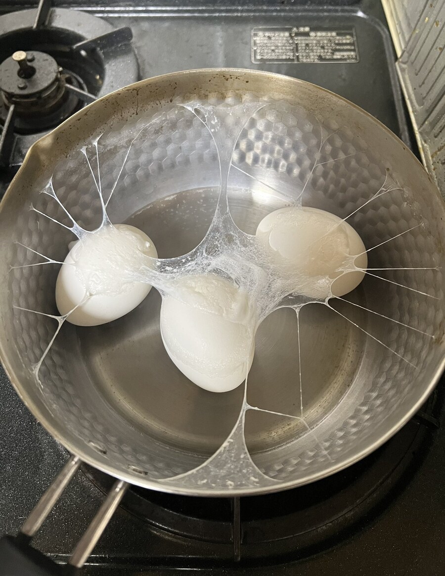 달걀 삶아놓고 깜빡한 사람.jpg_1.jpg