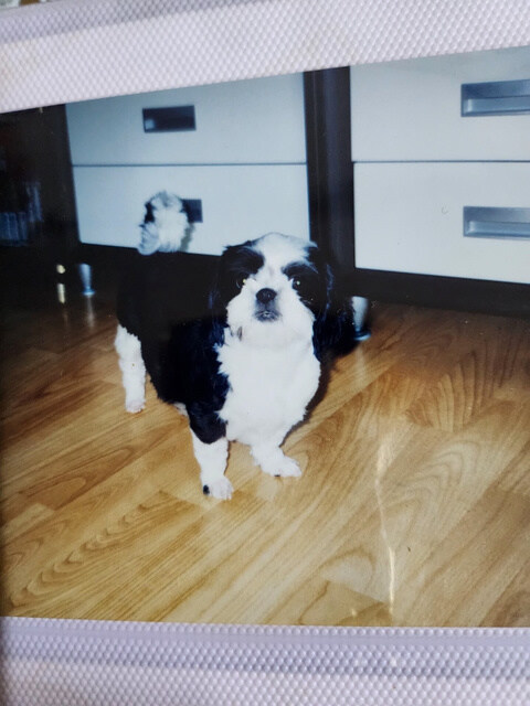 오랜 친구가 살아서 돌아왔네요._2.jpg