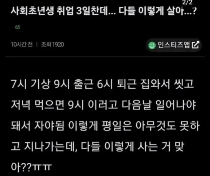 사회초년생인데 다들 이렇게 살아?_1.webp