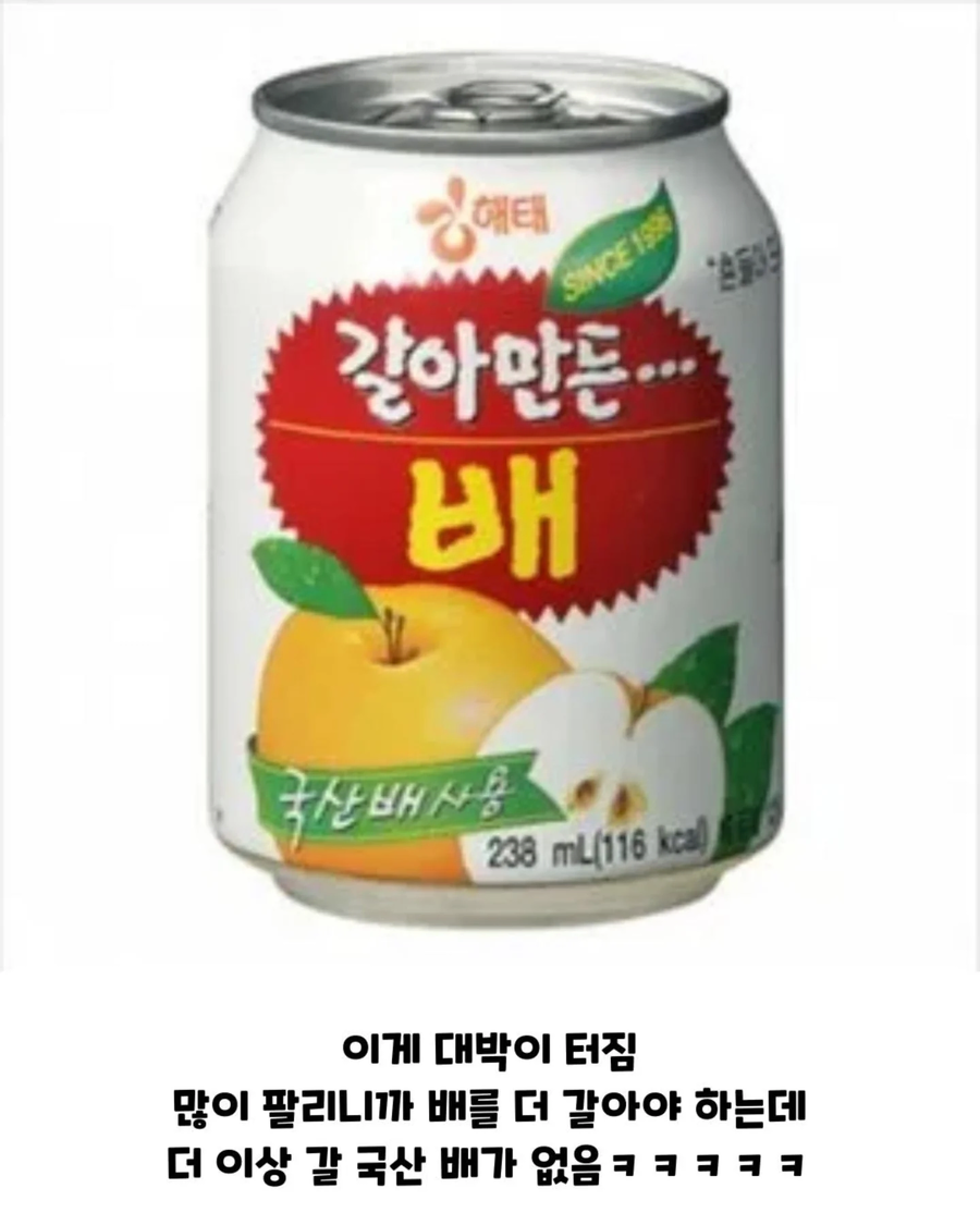 역대급 표절대응 방법_4.webp