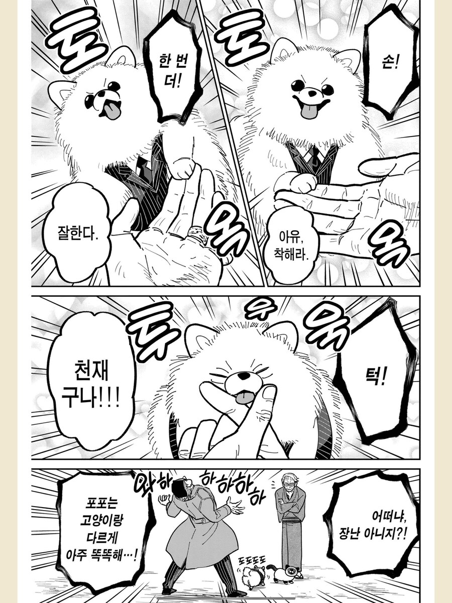 야쿠자끼리 진지하게 싸우는 만화_3.png