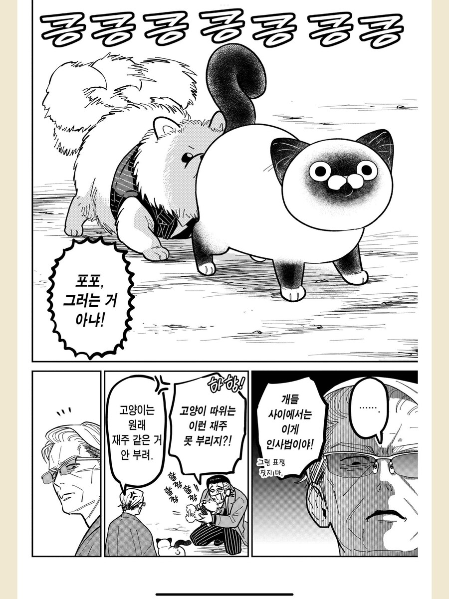 야쿠자끼리 진지하게 싸우는 만화_4.png