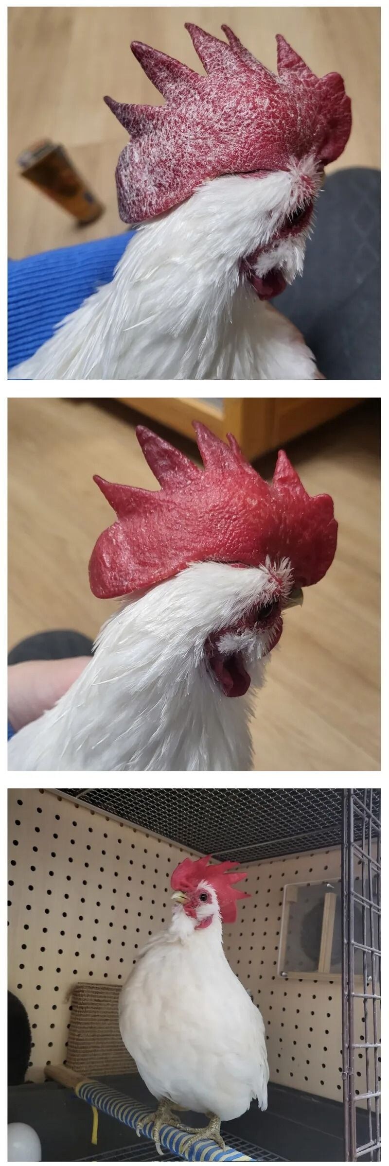 성능 확실한 핸드 크림 jpg._1.jpg