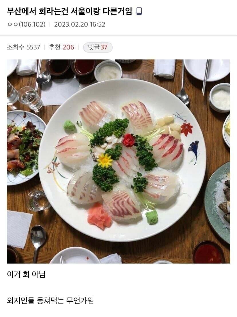 부산에서 회라는건.jpe_1.jpg