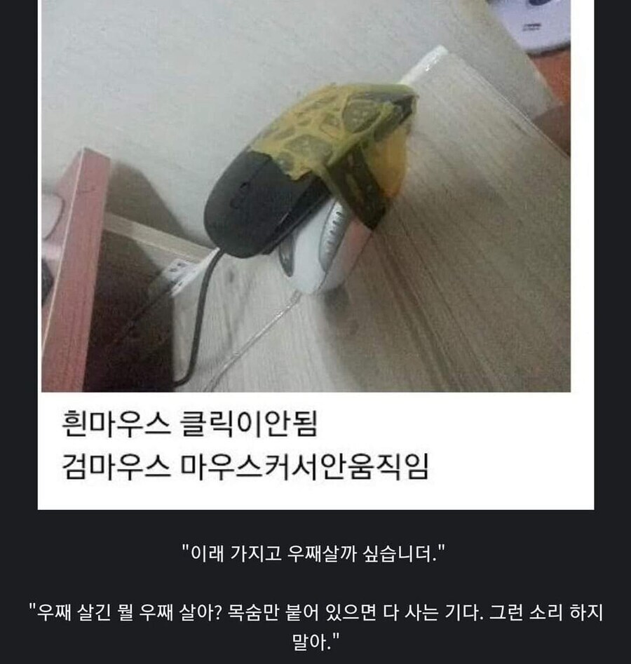 수난이대 마우스.jpg_1.jpg