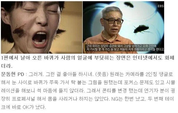혐) Ebs 가 만든 다큐중 가장 잔인한 다큐_1.jpg