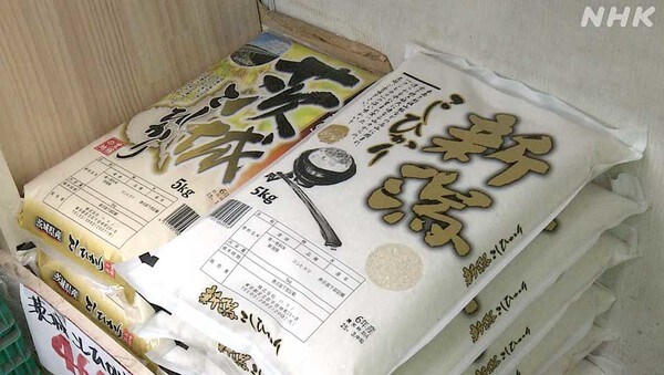 일본 쌀값 근황_1.jpg