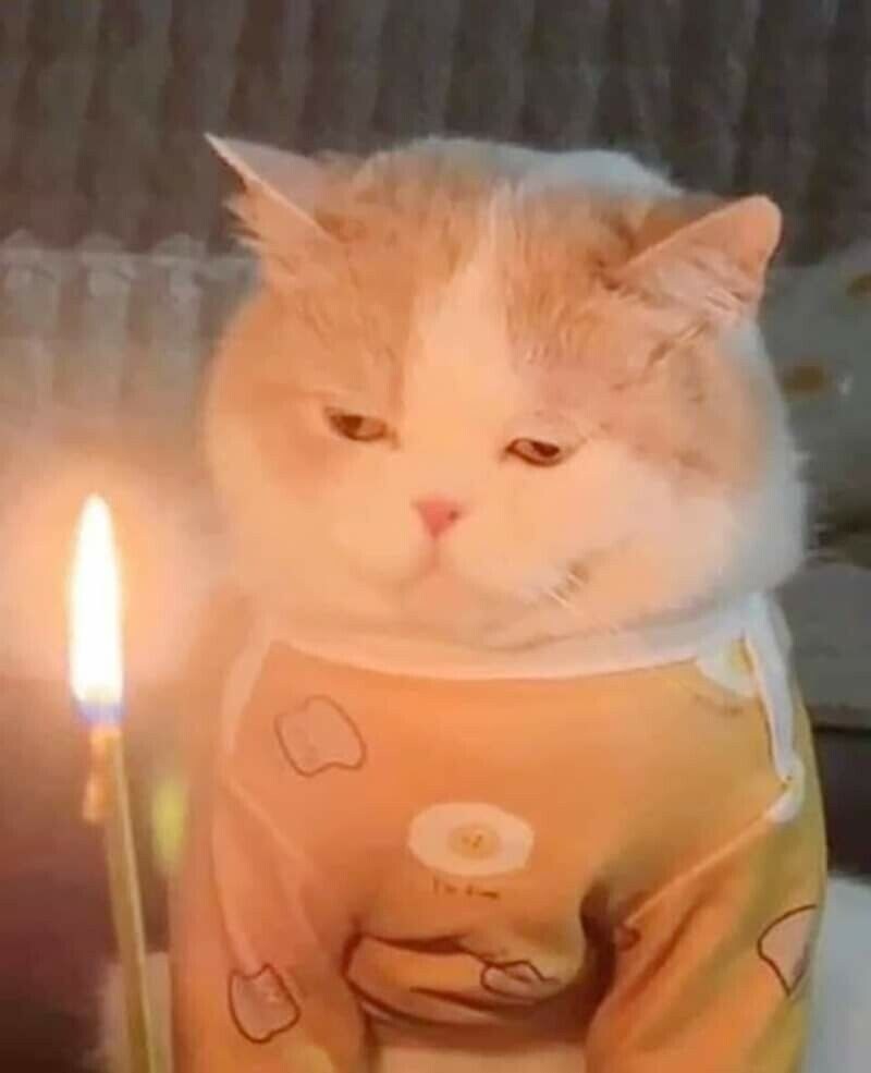 급하게 차린 생일상_2.jpg