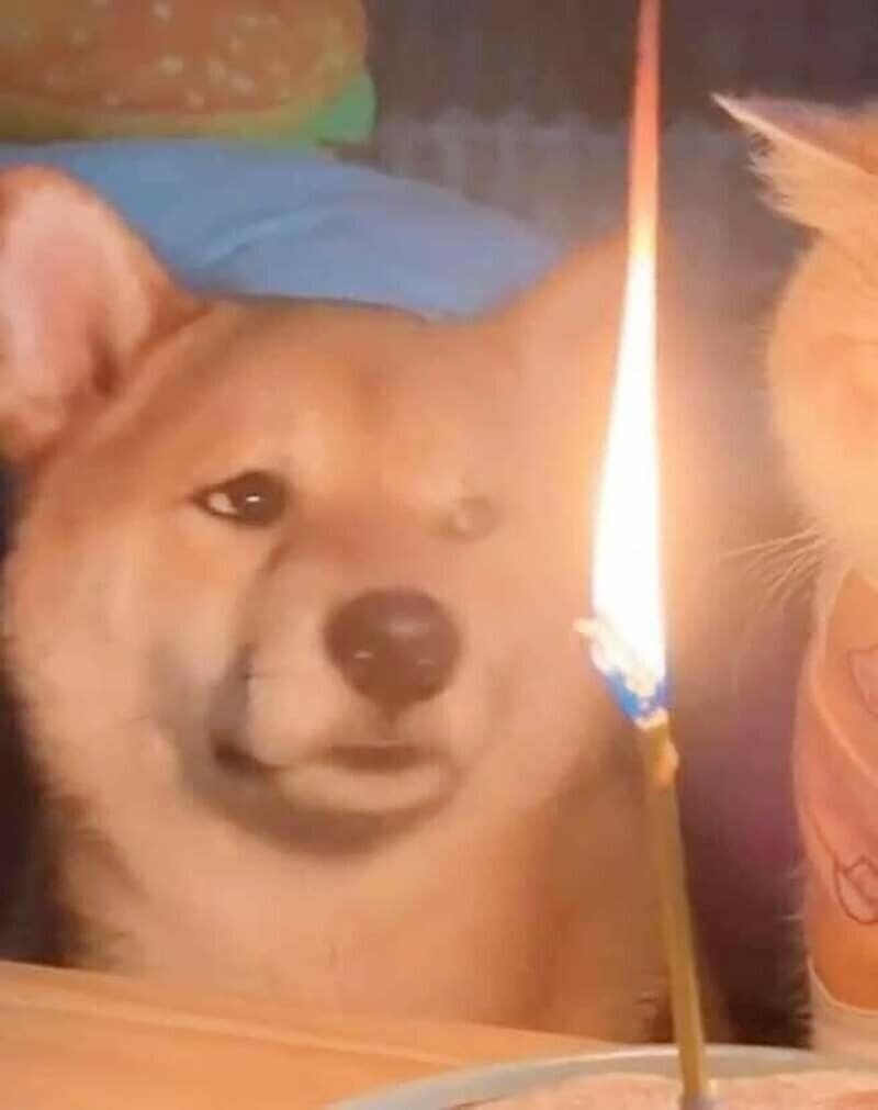 급하게 차린 생일상_3.jpg