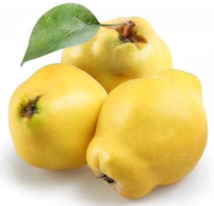 향기가 좋은 과일_1.png