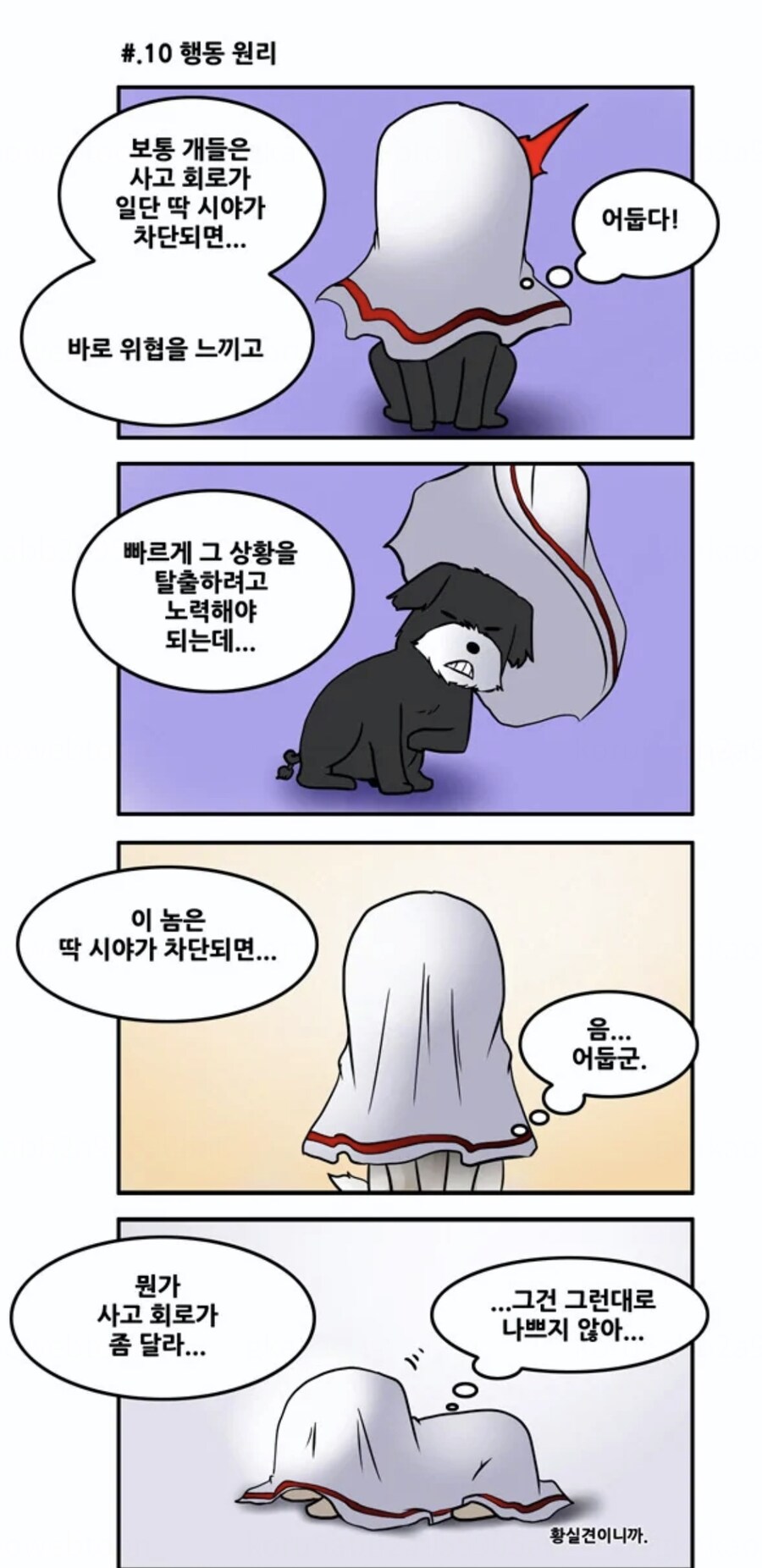 시츄에 대해 많이들 오해하는게 있는데_2.jpg