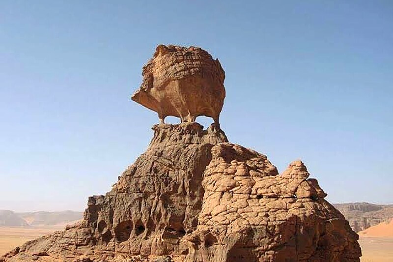 사하라 사막에 있는 고슴도치 바위.jpg_5.png