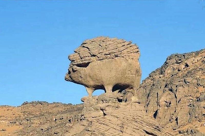 사하라 사막에 있는 고슴도치 바위.jpg_6.jpg