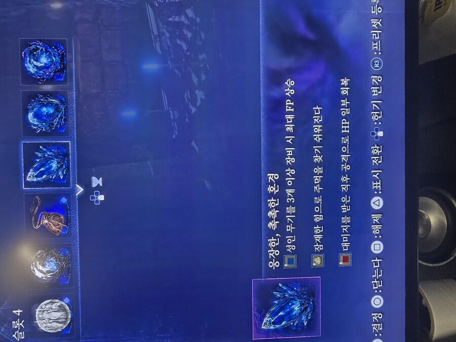 요건 장의사가 껴도 괜찮은가요?_1.jpg