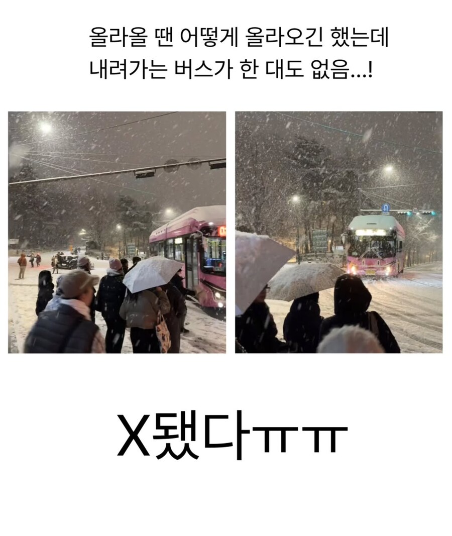 한국의 겨울을 매콤하게 맛 본 외국인들_4.png