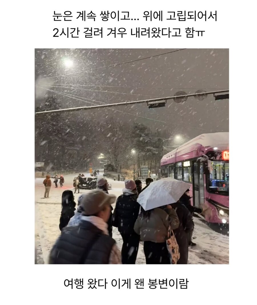 한국의 겨울을 매콤하게 맛 본 외국인들_5.png