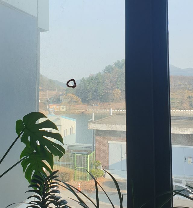 진짜진짜 이것만 사고 끝내려고 했음 (3편)_2.jpg