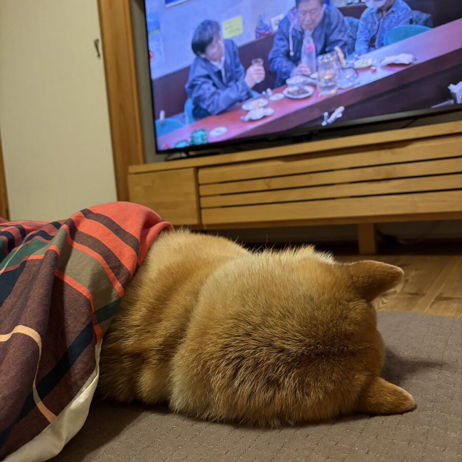 개인적으로 보람차게 주말 보내기 .jpg_1.jpg