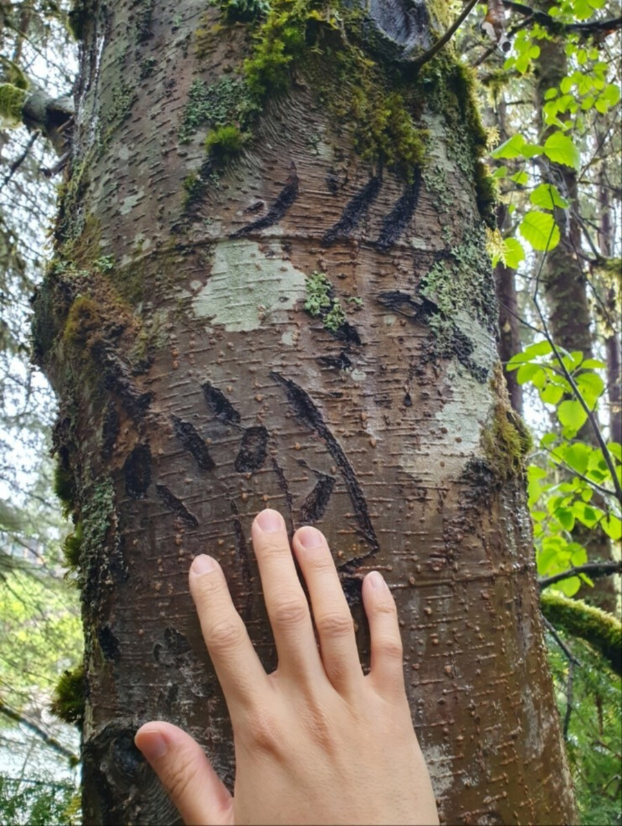 리노아(간판) 님의 손 크기_5.jpg