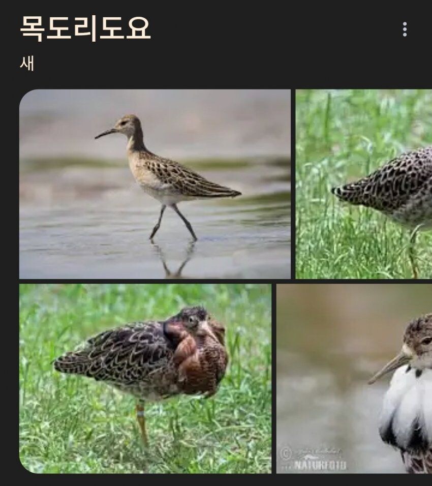 "날씨가 추우니 귀마개 하시고_1.jpg