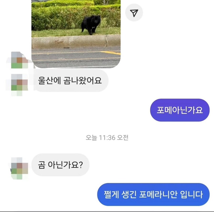 울산에 곰 나왔다는 제보 ㄷ_1.jpg
