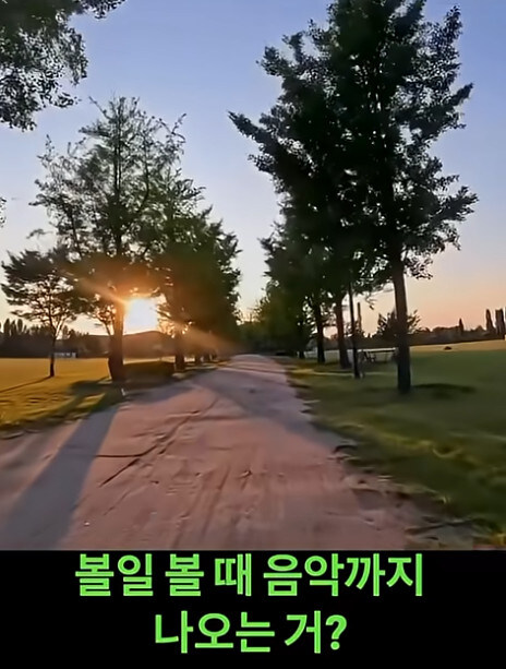 한국 여행온 유튜버가 가장 좋았다 평가하는거_5.jpg