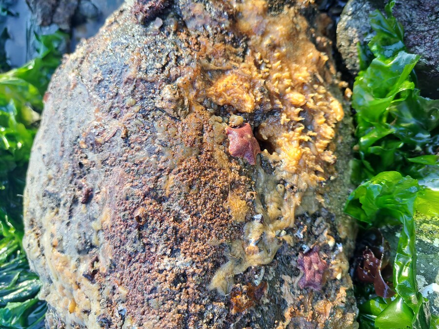 별 내린 해변_3.jpg