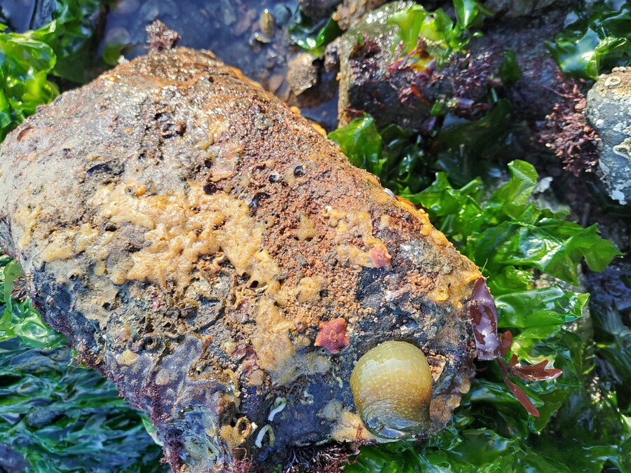 별 내린 해변_5.jpg