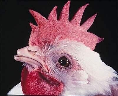 나이 먹는게 무서운 이유_1.jpg