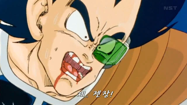 드래곤볼Z 인기투표 GOAT.jpg_5.jpg